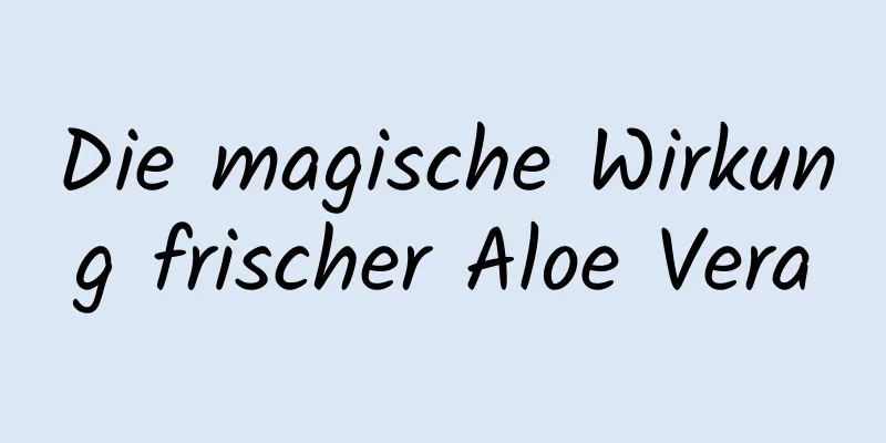 Die magische Wirkung frischer Aloe Vera