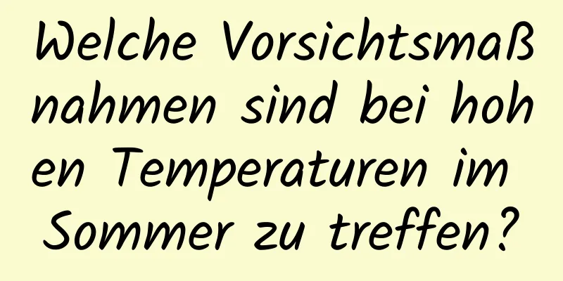 Welche Vorsichtsmaßnahmen sind bei hohen Temperaturen im Sommer zu treffen?
