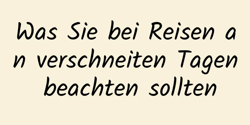 Was Sie bei Reisen an verschneiten Tagen beachten sollten