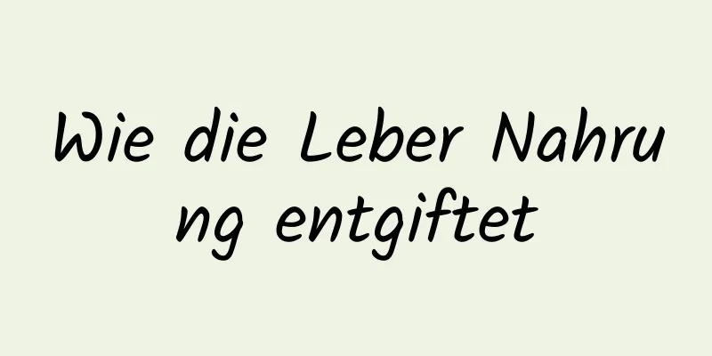 Wie die Leber Nahrung entgiftet