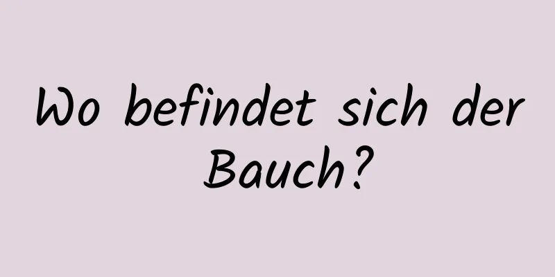Wo befindet sich der Bauch?