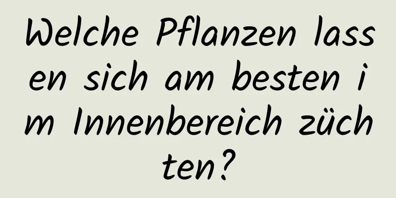 Welche Pflanzen lassen sich am besten im Innenbereich züchten?