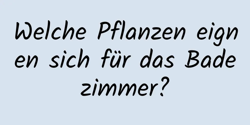 Welche Pflanzen eignen sich für das Badezimmer?