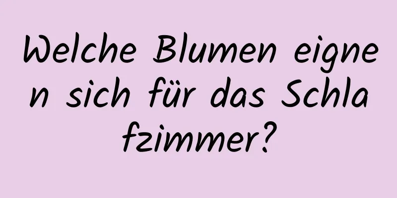 Welche Blumen eignen sich für das Schlafzimmer?