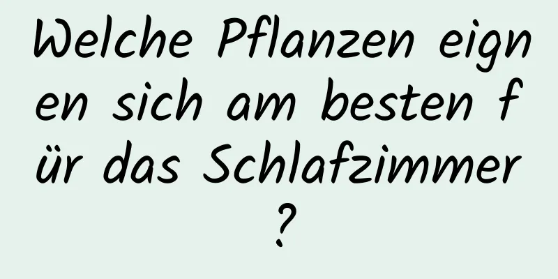 Welche Pflanzen eignen sich am besten für das Schlafzimmer?