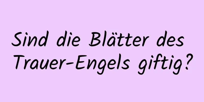 Sind die Blätter des Trauer-Engels giftig?