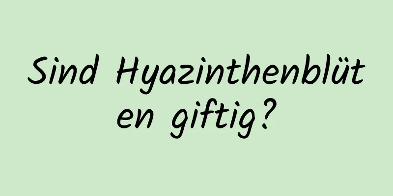 Sind Hyazinthenblüten giftig?
