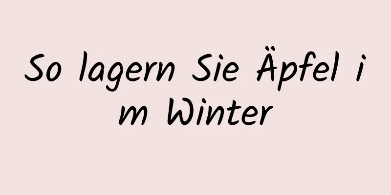 So lagern Sie Äpfel im Winter