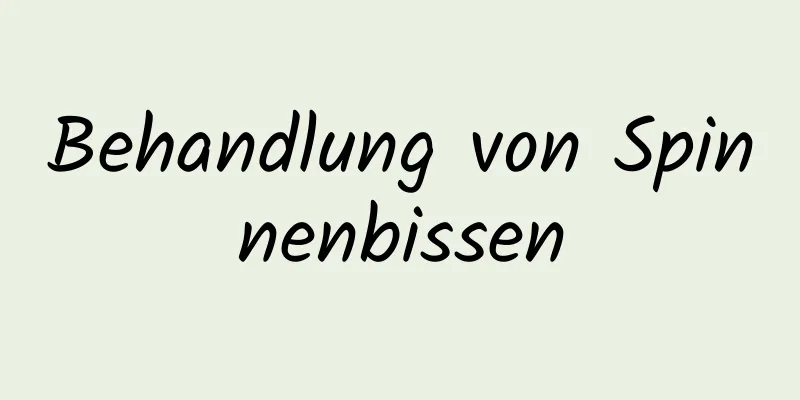 Behandlung von Spinnenbissen