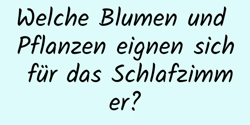 Welche Blumen und Pflanzen eignen sich für das Schlafzimmer?