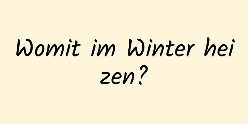Womit im Winter heizen?