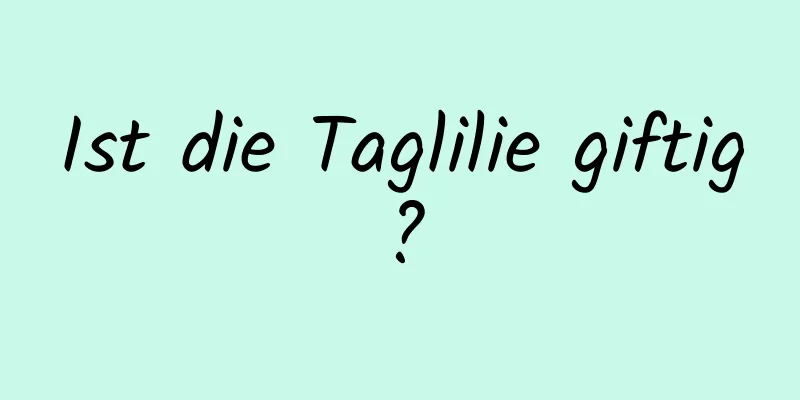 Ist die Taglilie giftig?