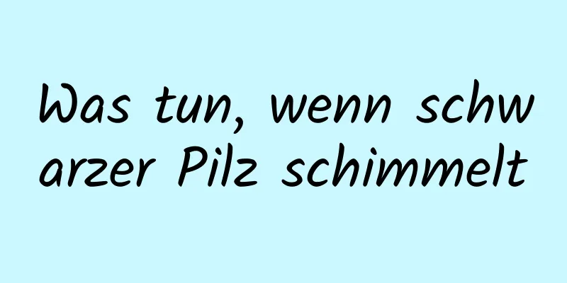 Was tun, wenn schwarzer Pilz schimmelt