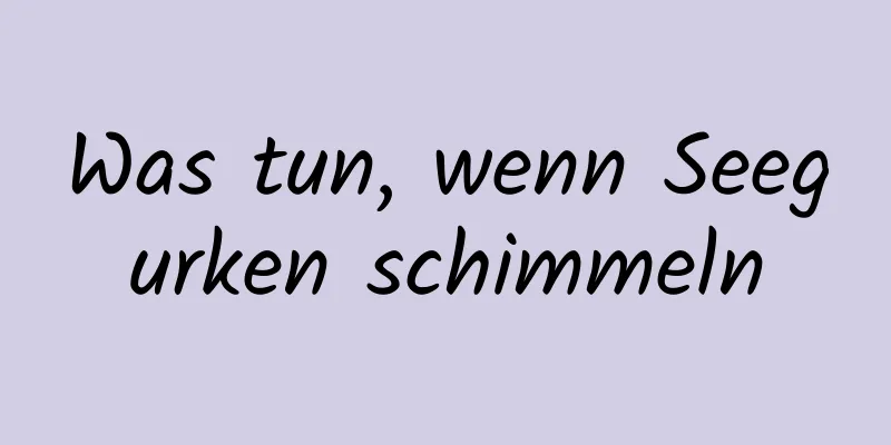 Was tun, wenn Seegurken schimmeln
