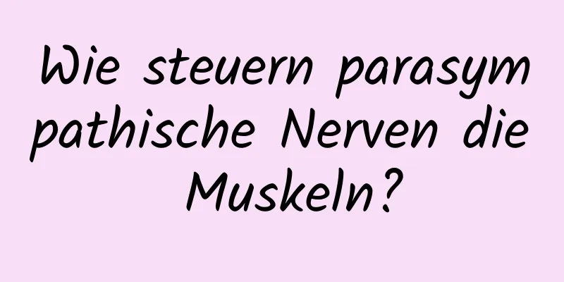 Wie steuern parasympathische Nerven die Muskeln?