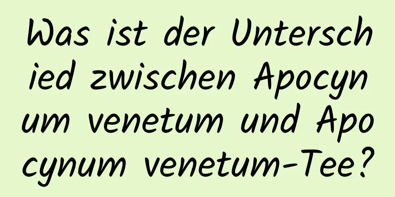 Was ist der Unterschied zwischen Apocynum venetum und Apocynum venetum-Tee?
