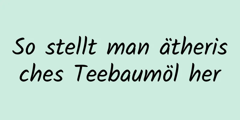 So stellt man ätherisches Teebaumöl her