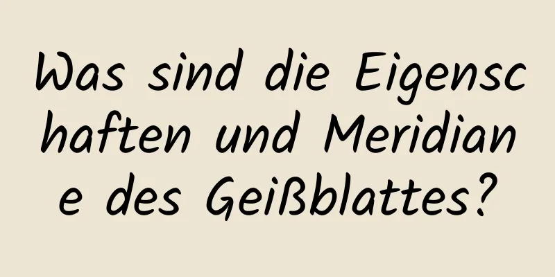 Was sind die Eigenschaften und Meridiane des Geißblattes?