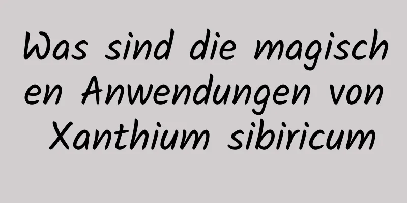 Was sind die magischen Anwendungen von Xanthium sibiricum