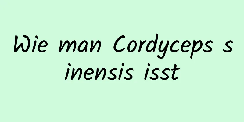 Wie man Cordyceps sinensis isst