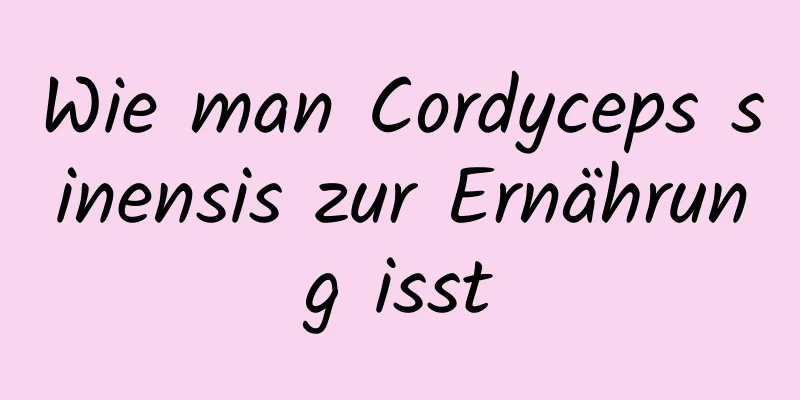 Wie man Cordyceps sinensis zur Ernährung isst