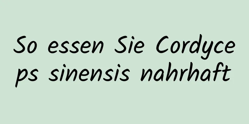 So essen Sie Cordyceps sinensis nahrhaft