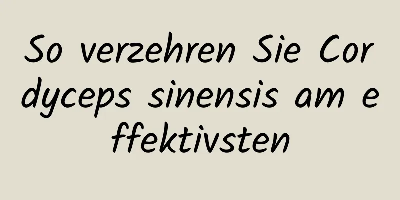 So verzehren Sie Cordyceps sinensis am effektivsten