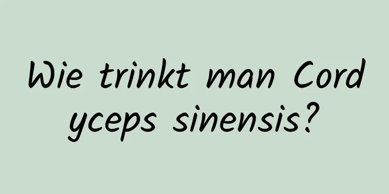 Wie trinkt man Cordyceps sinensis?