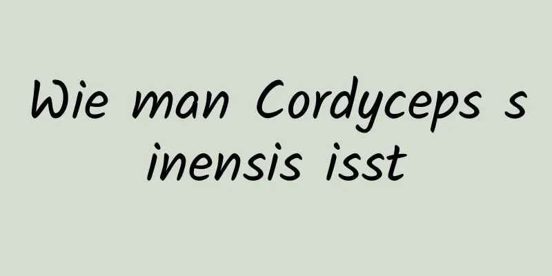 Wie man Cordyceps sinensis isst