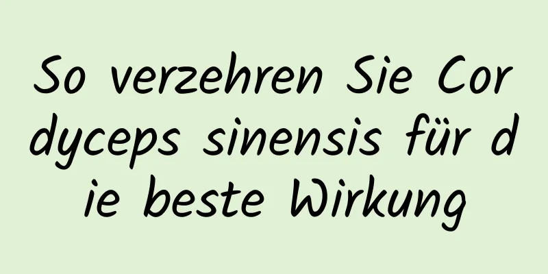 So verzehren Sie Cordyceps sinensis für die beste Wirkung