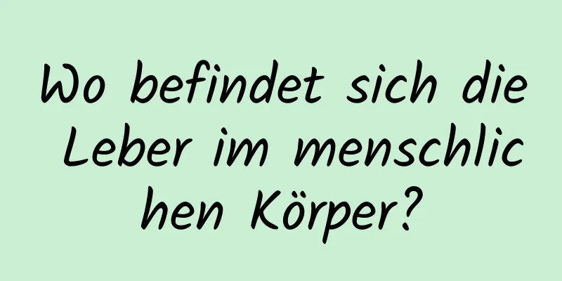 Wo befindet sich die Leber im menschlichen Körper?