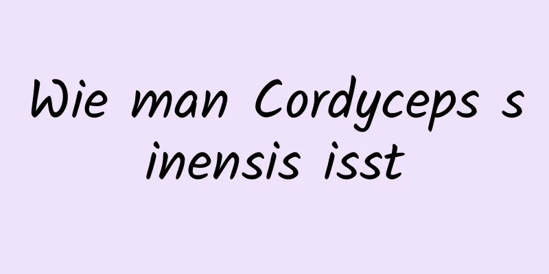 Wie man Cordyceps sinensis isst