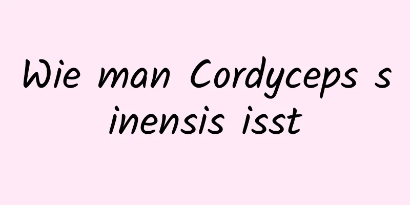 Wie man Cordyceps sinensis isst