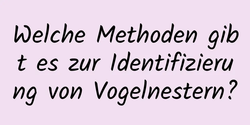 Welche Methoden gibt es zur Identifizierung von Vogelnestern?