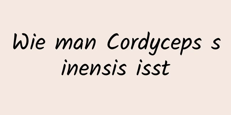 Wie man Cordyceps sinensis isst