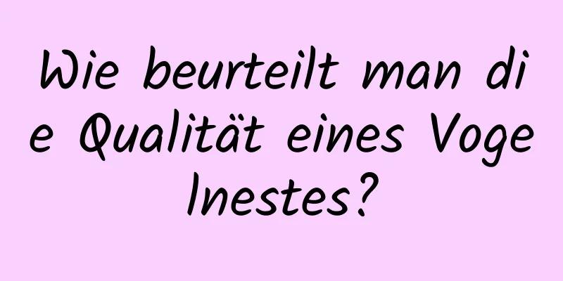Wie beurteilt man die Qualität eines Vogelnestes?