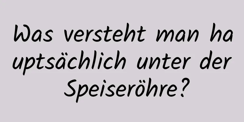Was versteht man hauptsächlich unter der Speiseröhre?