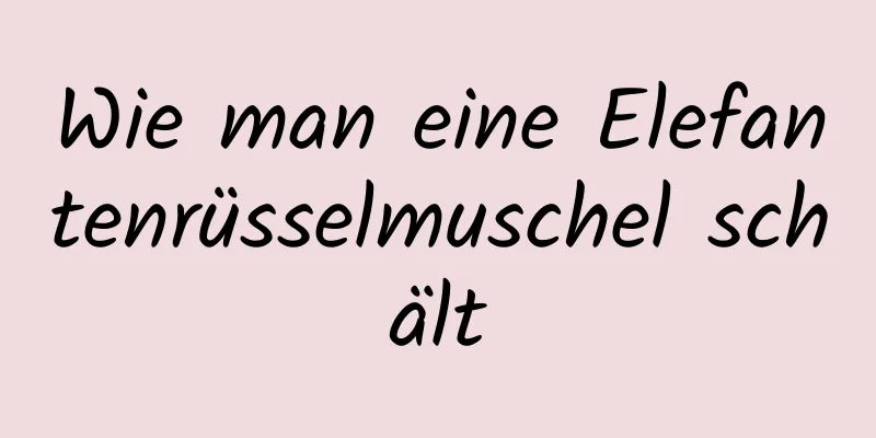 Wie man eine Elefantenrüsselmuschel schält