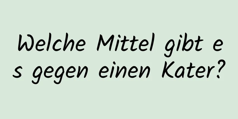 Welche Mittel gibt es gegen einen Kater?