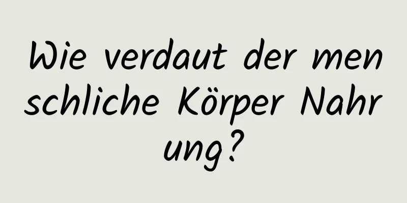 Wie verdaut der menschliche Körper Nahrung?