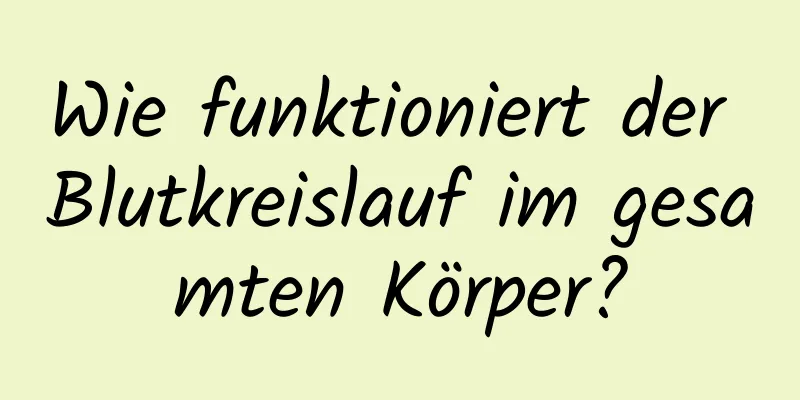 Wie funktioniert der Blutkreislauf im gesamten Körper?