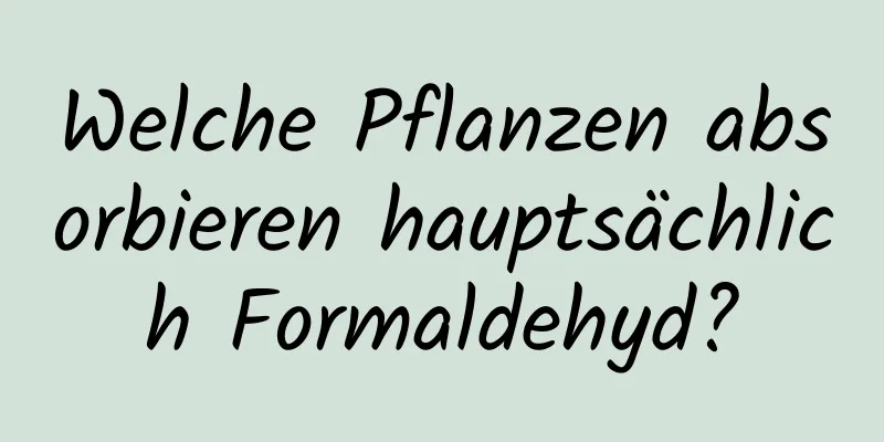 Welche Pflanzen absorbieren hauptsächlich Formaldehyd?