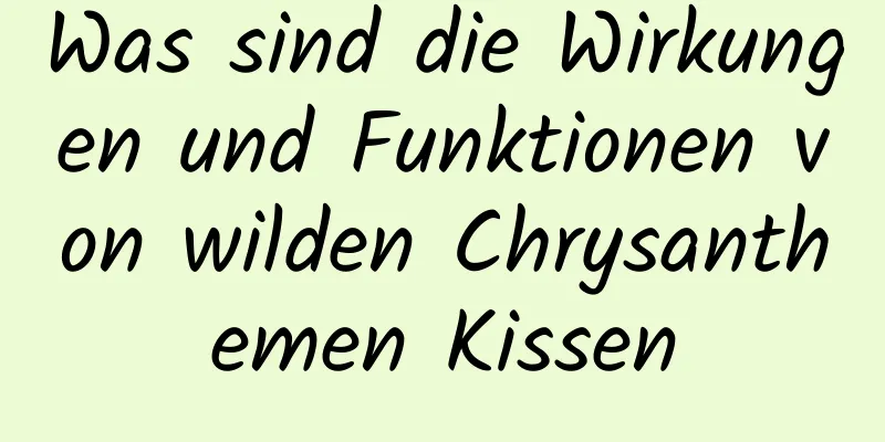 Was sind die Wirkungen und Funktionen von wilden Chrysanthemen Kissen