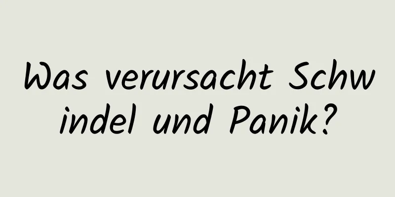 Was verursacht Schwindel und Panik?