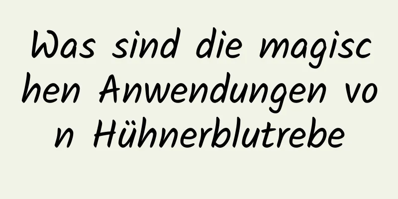 Was sind die magischen Anwendungen von Hühnerblutrebe