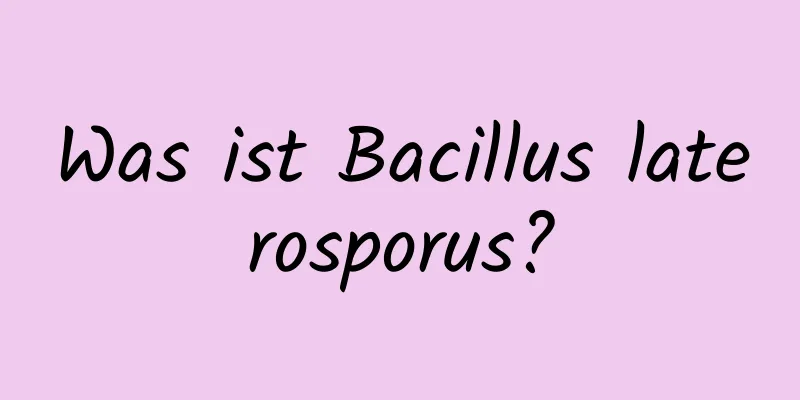 Was ist Bacillus laterosporus?