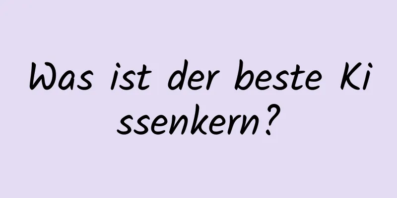 Was ist der beste Kissenkern?