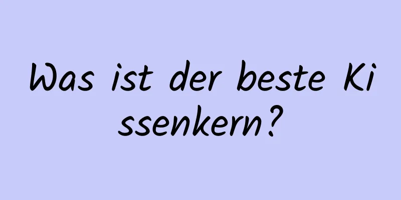 Was ist der beste Kissenkern?