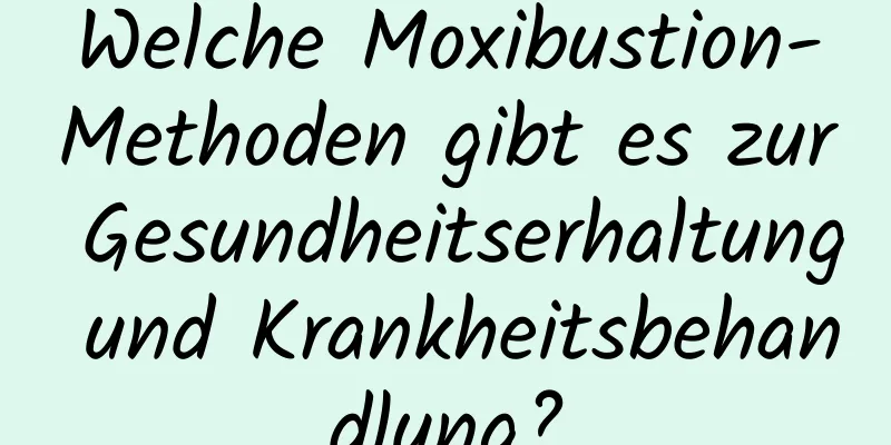 Welche Moxibustion-Methoden gibt es zur Gesundheitserhaltung und Krankheitsbehandlung?