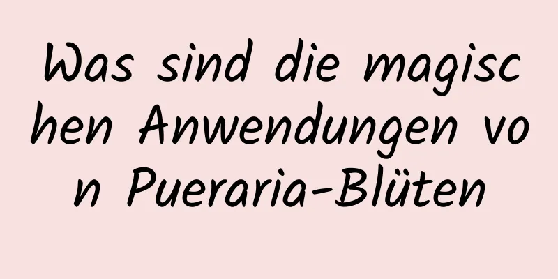 Was sind die magischen Anwendungen von Pueraria-Blüten